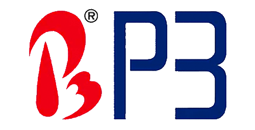 P3