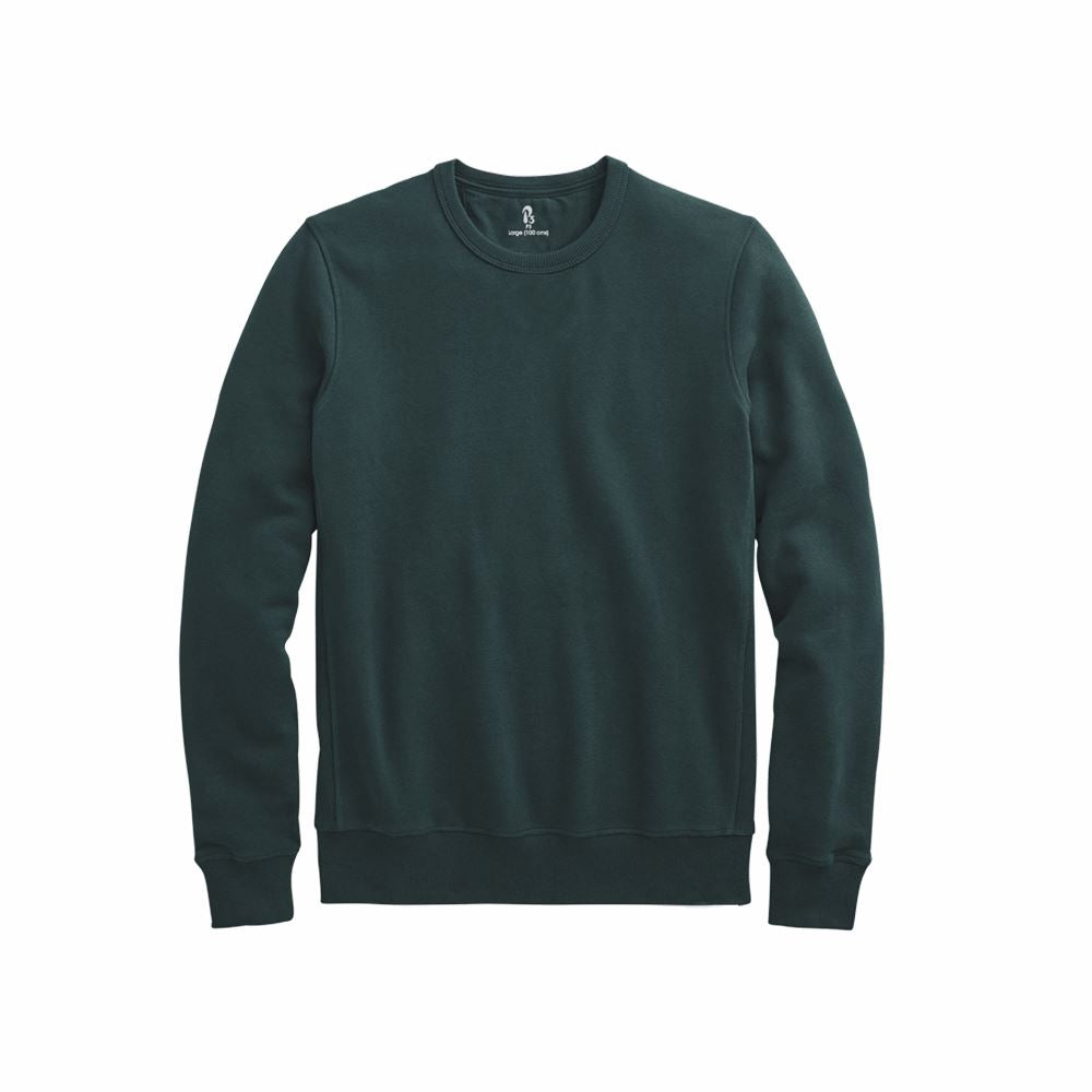 Looper Knit Sweatshirt Sweatshirt P3 Forest Medium (95cms) Sweatshirts